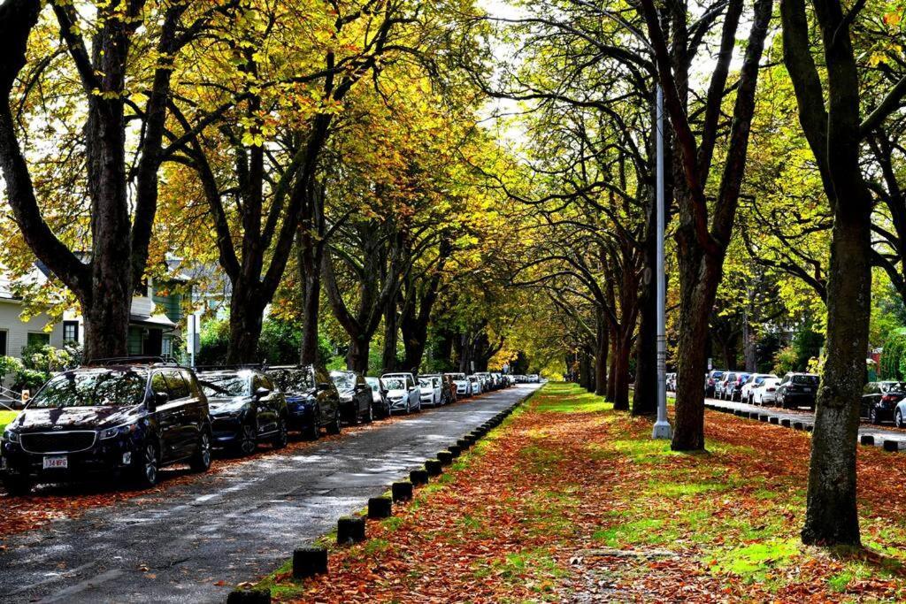 U-District Warmth 8 Mins Walk To Uw Villa Seattle Eksteriør bilde